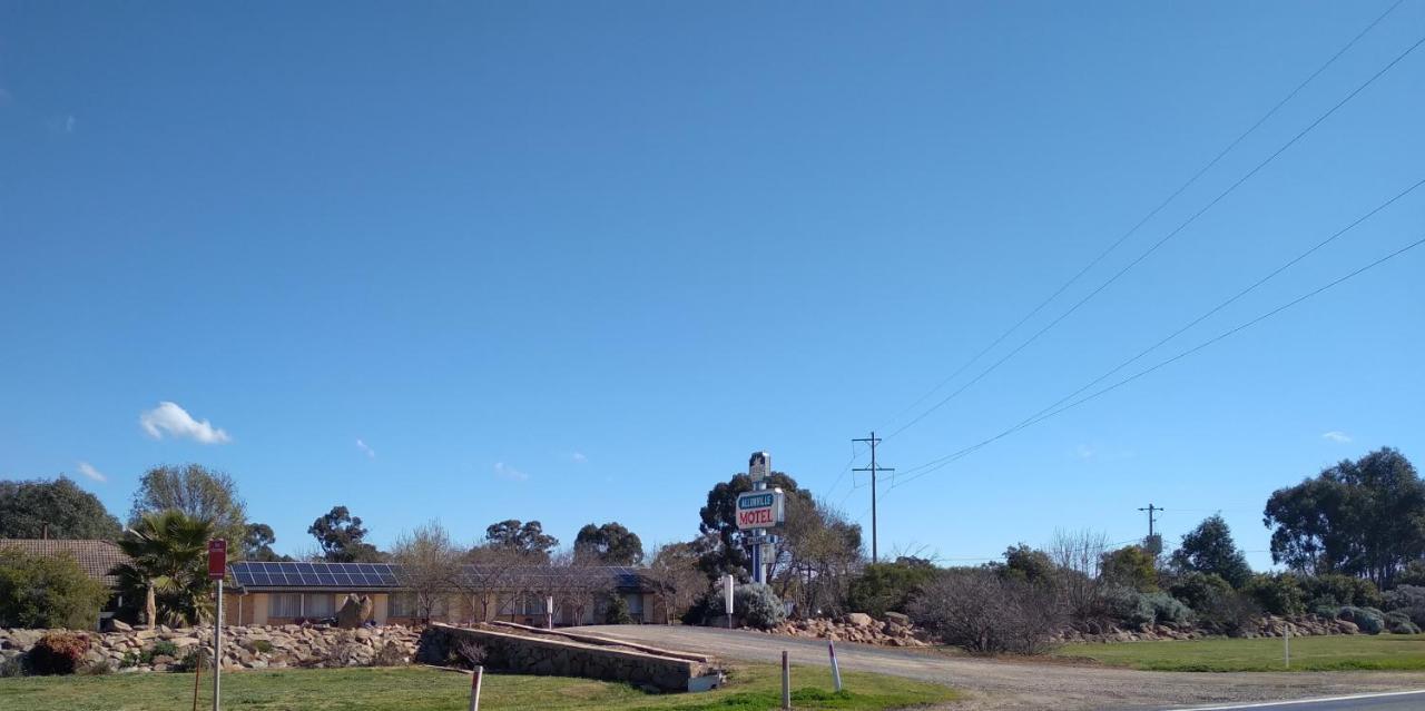 Allonville Gardens Motel Wagga Wagga Kültér fotó