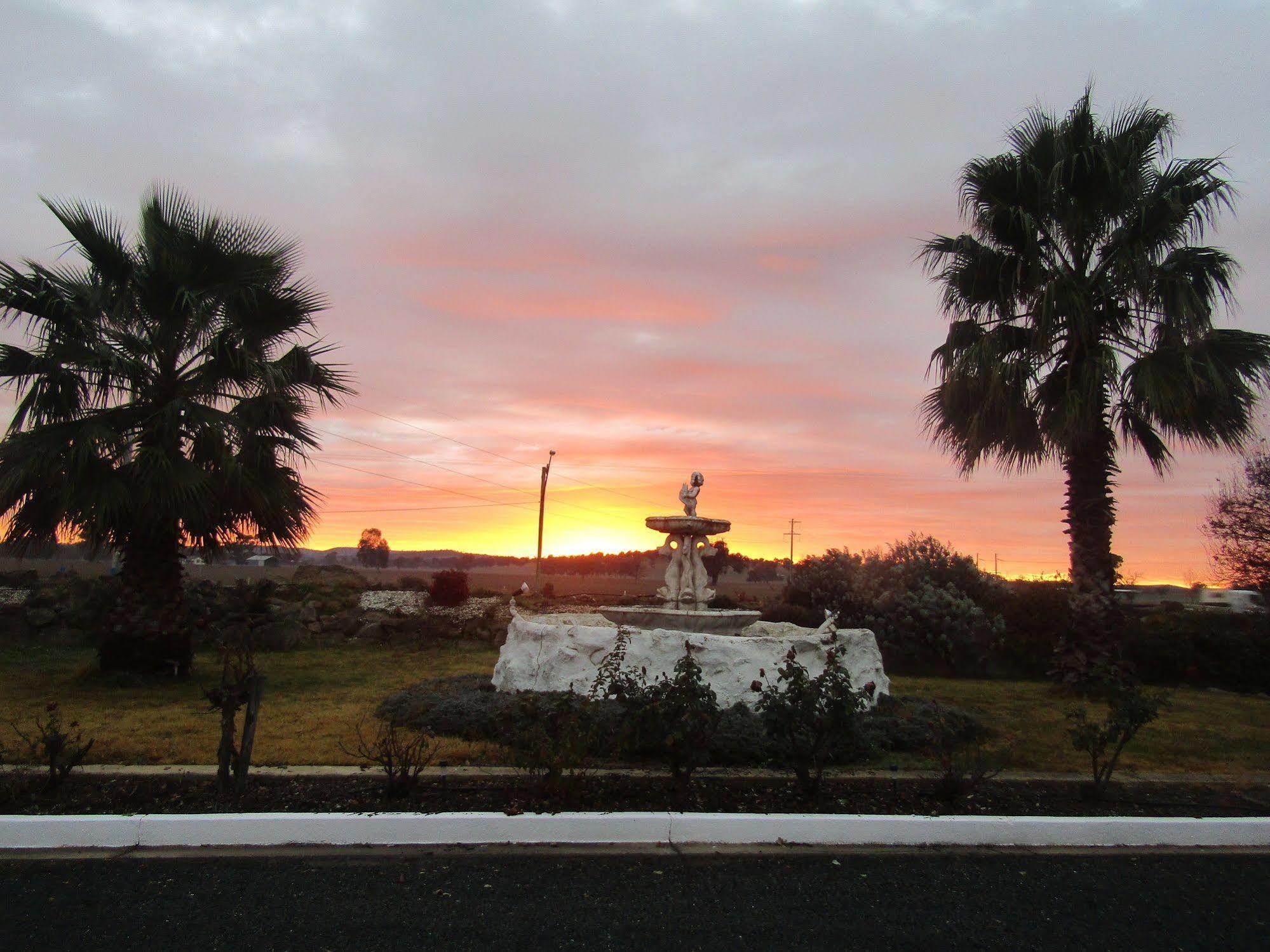 Allonville Gardens Motel Wagga Wagga Kültér fotó